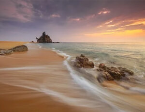 北京队外线火力全开,横扫上海队