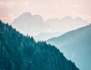 挪威队在欧预赛中轻松获胜,实力雄厚